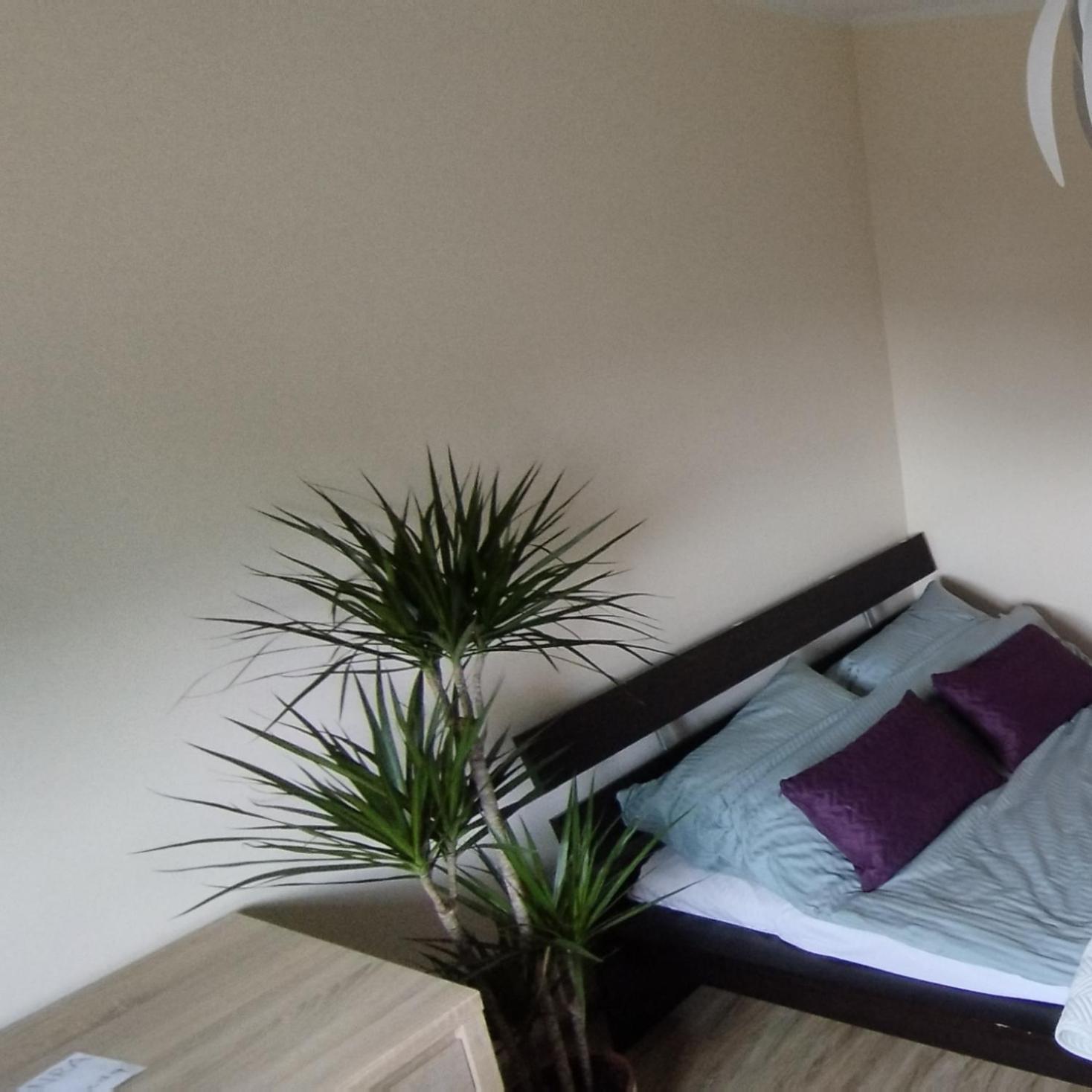 Apartament A8 Gdynia Orlowo 외부 사진
